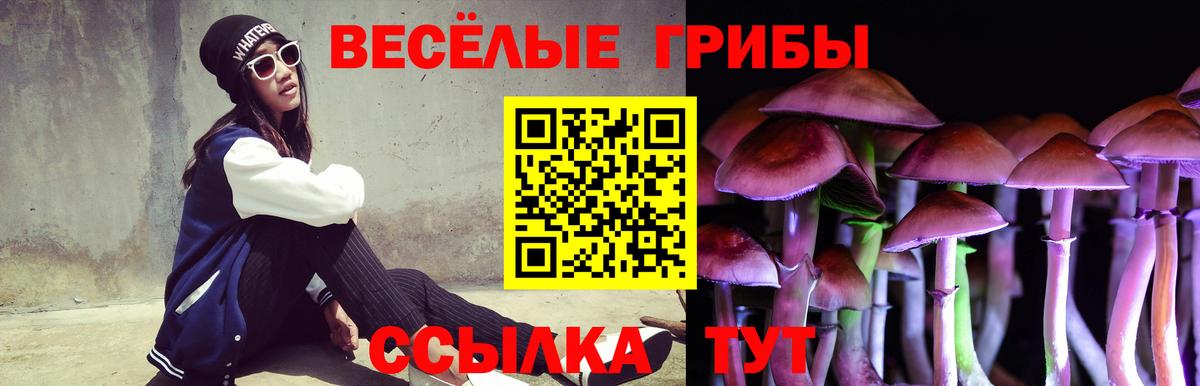 Ялта  Псилоцибиновые грибы ЛСД  Псилоцибиновые грибы Cubensis  Вход с VPN 
