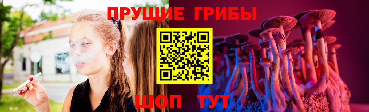 Псилоцибиновые грибы GOLDEN TEACHER Ялта